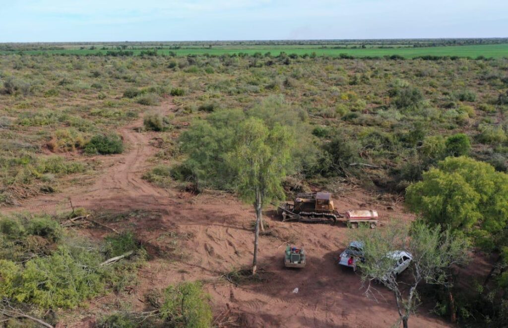 MENOS DESMONTES: EL CHACO AVANZA EN LA PRESERVACIÓN DEL BOSQUE NATIVO