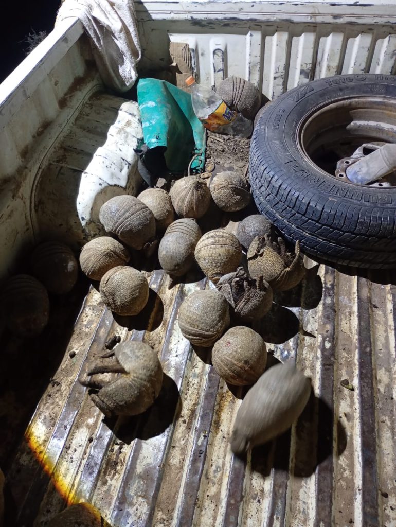 LORO HABLADOR: DETECTAN CAZA ILEGAL DE FAUNA PROTEGIDA EN EL PARQUE PROVINCIAL