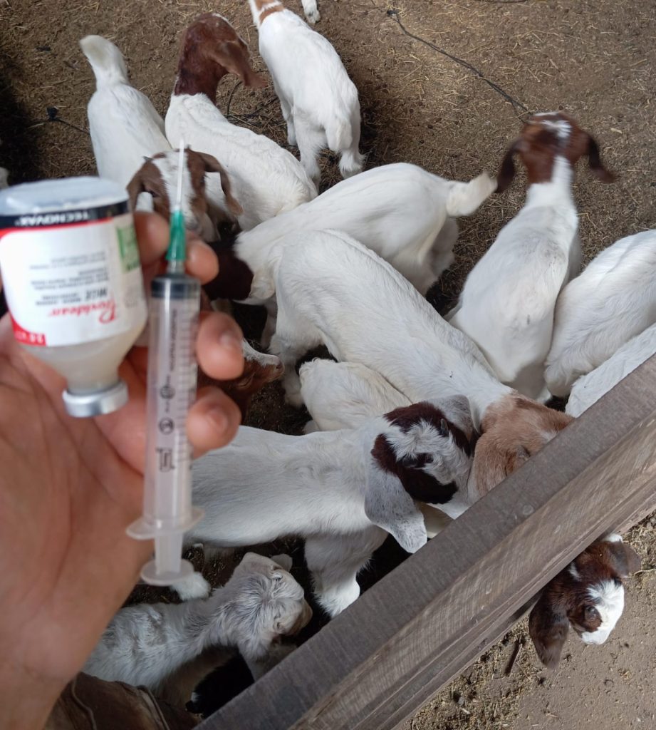 PROGANO: ASISTENCIA PERMANENTE EN TERRITORIO